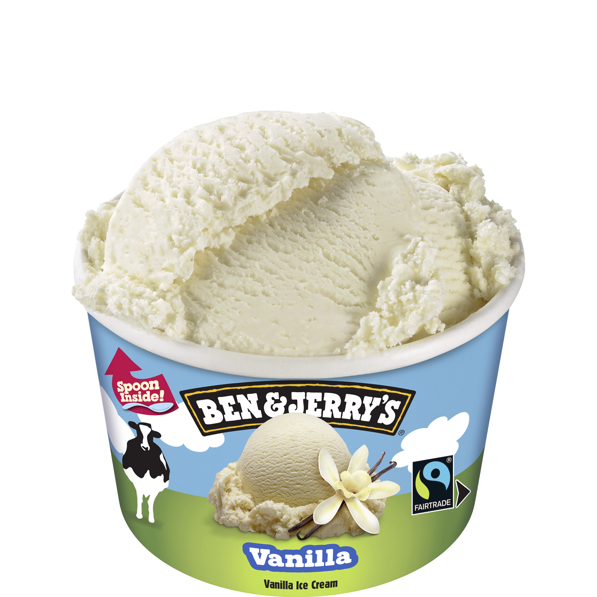 Vanilla Ice Cream - Mini Cup