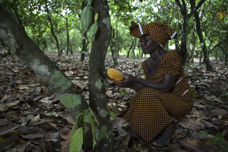 Celebrate Fairtrade Farmers